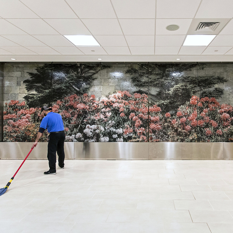 Souvenir of a Mountain Garden, installation view