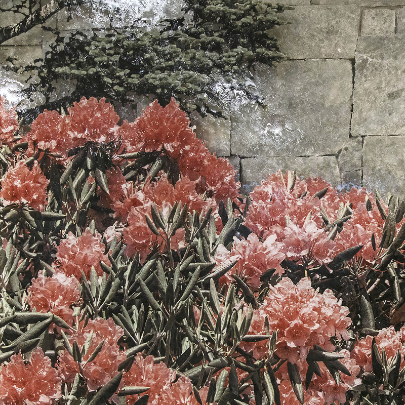 Souvenir of a Mountain Garden, detail