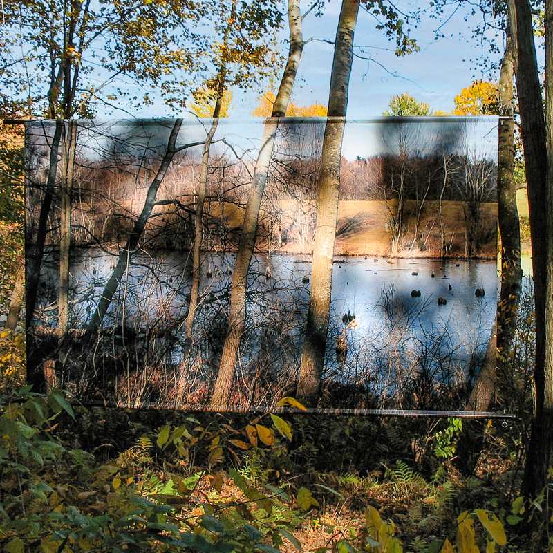 March Swamp, 2006, digital print on vinyl, 99 X 159 in, The Fields, Art OMI, Ghent, NY (fall)