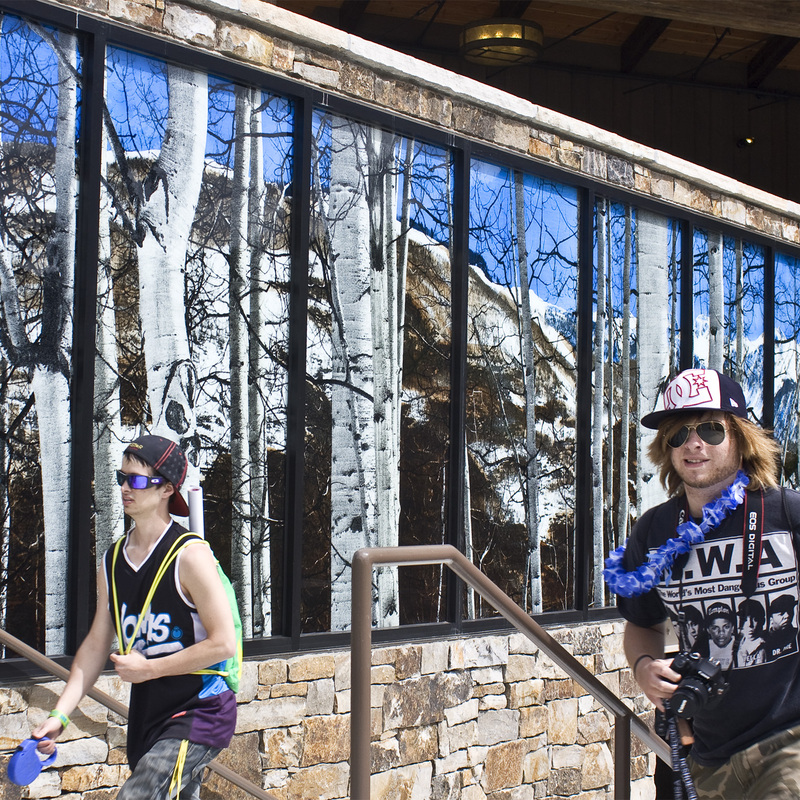 Variation in Silver and White, detail