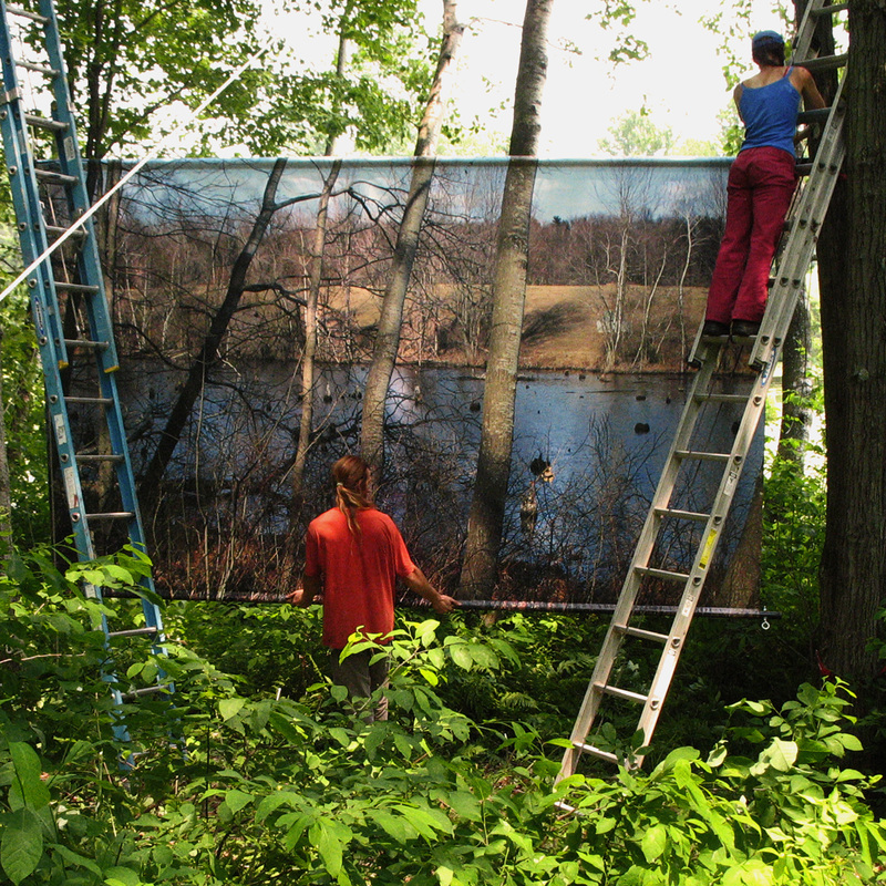 March Swamp, 2006, digital print on vinyl, 99 X 159 in, The Fields, Art OMI, Ghent, NY (summer)