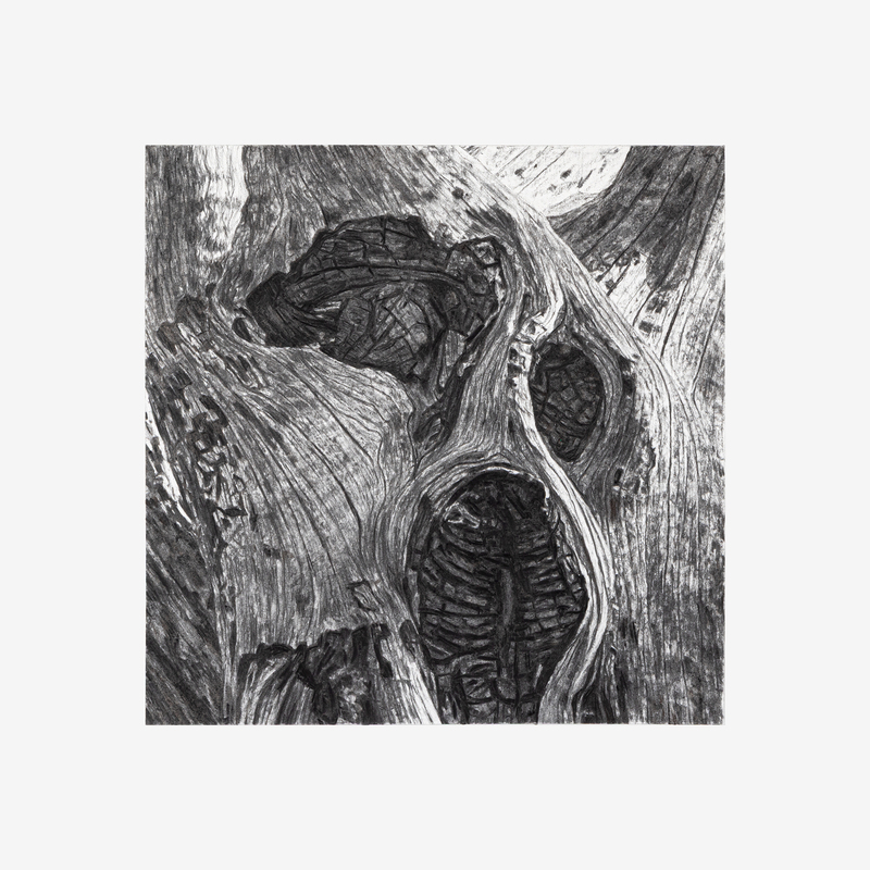 Portrait of the Apocalypse 6, 2026, 16” X 16“, charcoal on paper
